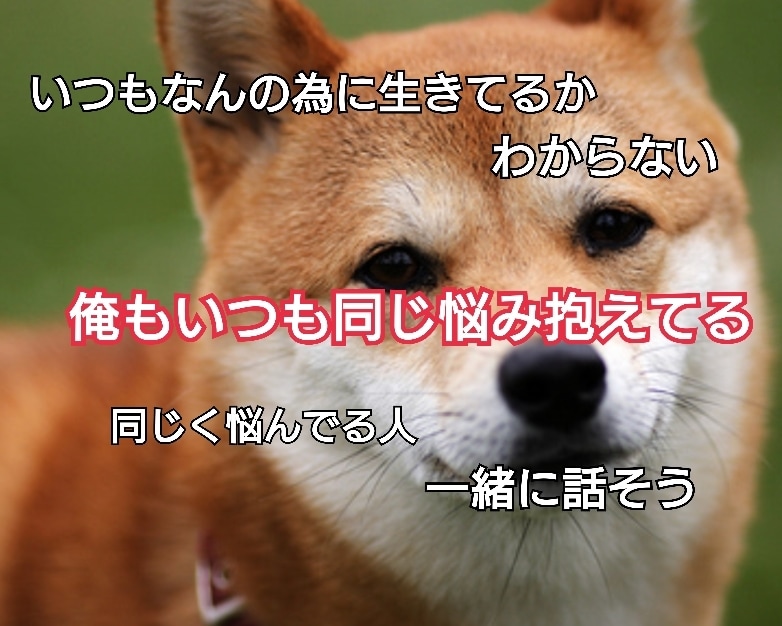 他で断られた悩み・相談・なんでも最後まで聞きます 迷惑って言われて悩み、相談出来ないでいる人。俺が聞くから！ イメージ10