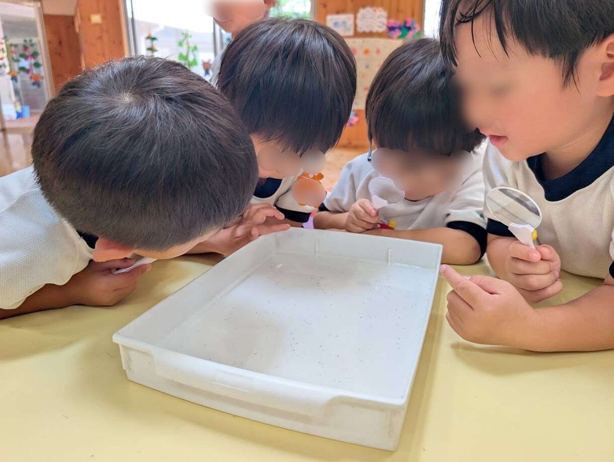 ホタルの専門家が飼育・生態の疑問にお答えしますます ホタルの飼育・生態・環境づくりまで、お気軽にご相談ください。 イメージ8