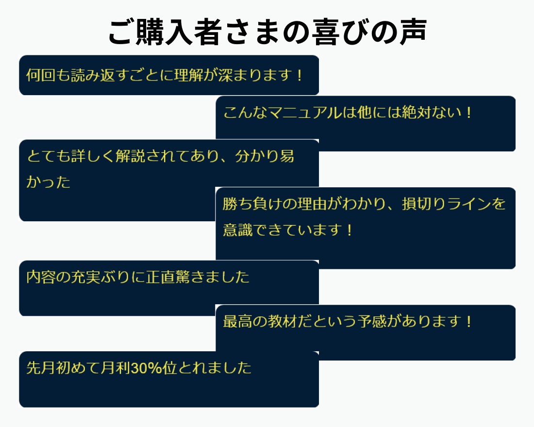 長く使えるFXスキル「環境認識力」を習得できます FXで１度も勝てなかった人が激変？【環境認識力】の秘訣を公開 イメージ8