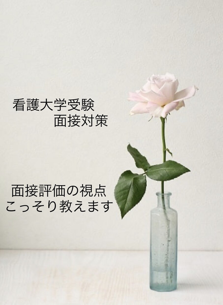 看護系大学受験対策！面接内容おしえます 看護教員経験をもとにお伝えします！ イメージ1