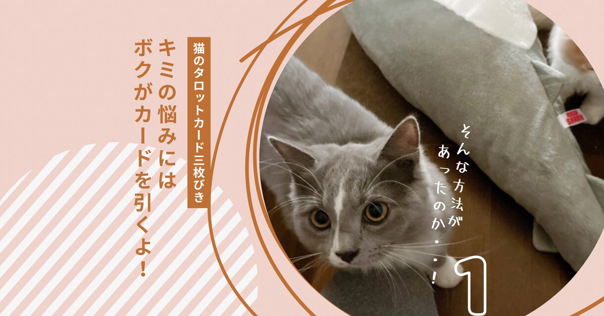 猫の神秘的な直感が迷える恋心を占います 恋するあなたに猫たちがそっと選ぶタロットのメッセージ✴︎ イメージ2