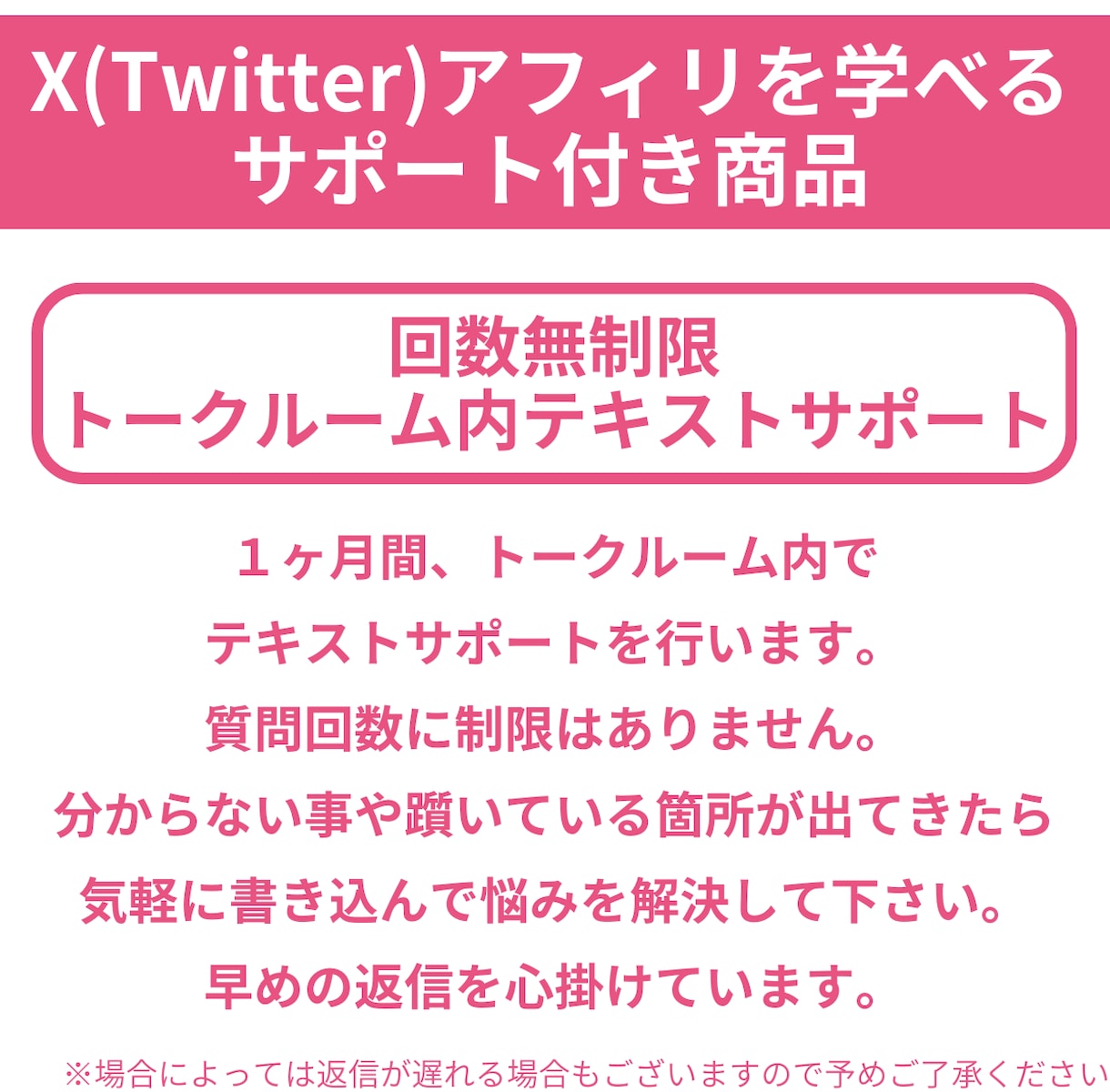 回数無制限サポートでSNS副業が身に付きます 1ヶ月間質問し放題！アフィリエイト初心者でも挫折せず身に付く イメージ4