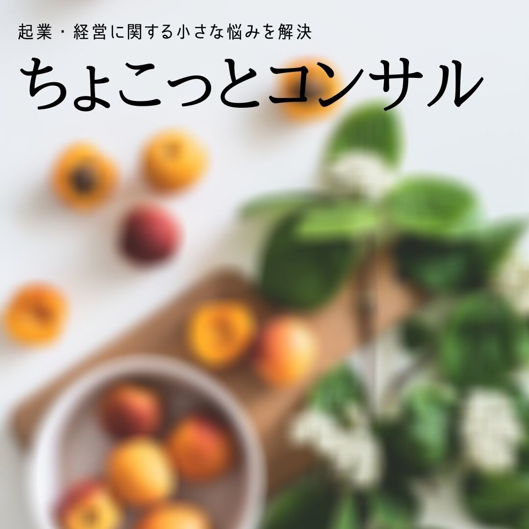起業や経営に関する内容でコンサルします ＜起業したて～起業５年目未満対象＞ちょこっとコンサル イメージ1
