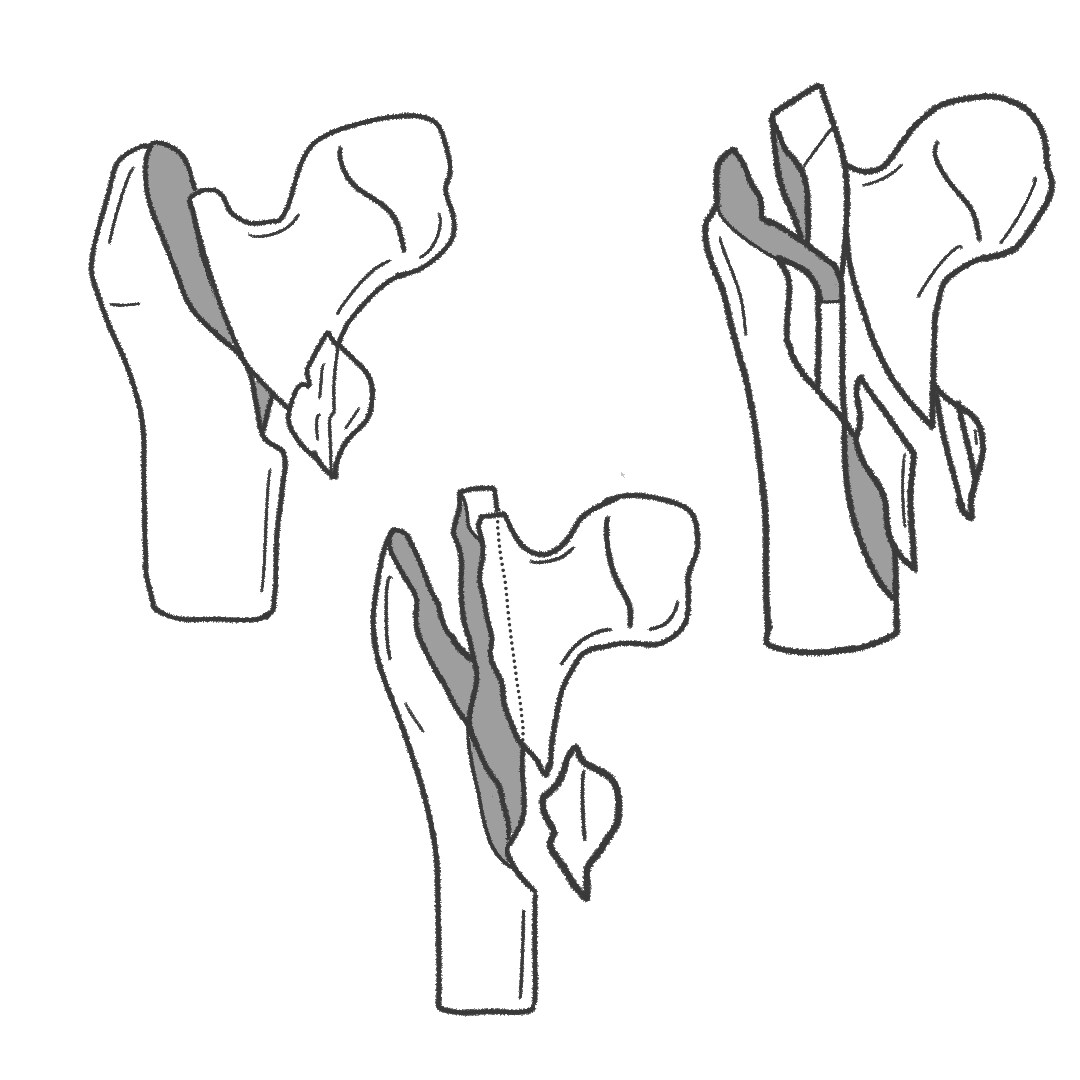医療系イラスト描きます 薬剤師がシンプルでわかりやすいイラストを描きます。 イメージ4