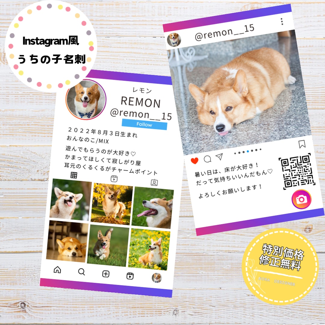 Instagram風デザインうちの子名刺を作ります ＋2000円で100枚(送料無料) イメージ1