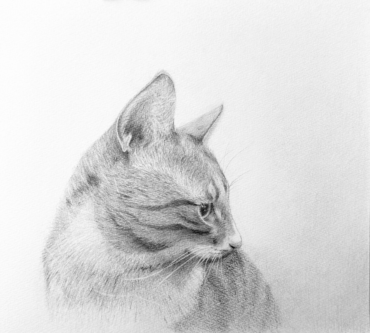 動物・人・静物など、鉛筆画承ります アイコン・ヘッダー、広告・宣伝、挿絵・表紙、Webサイトなど イメージ3