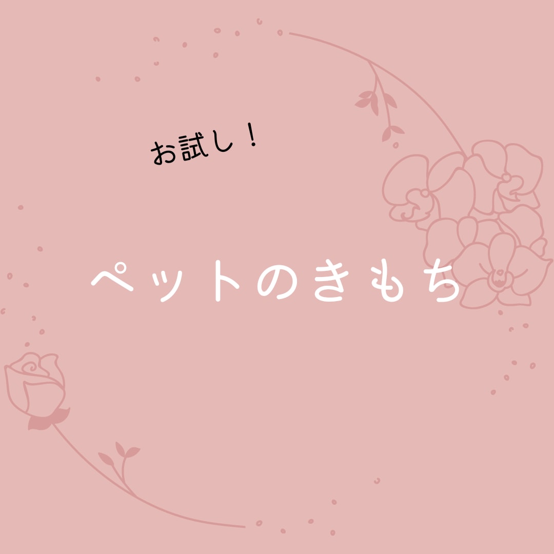 ペットの気持ちをカードを通して霊視します ペットの気持ちみてみませんか？ イメージ1