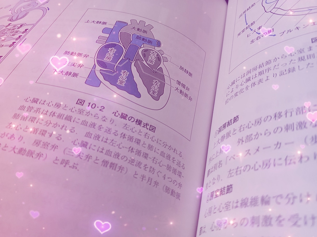 基礎から柔整鍼灸の解剖学と生理学します 解剖学生理学がまったくわからない方に丁寧に説明します イメージ1