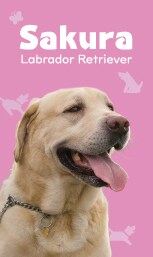 ペット名刺（PET NAME CARD）制作します セミオーダータイプ・50枚単位で注文可能！ イメージ4