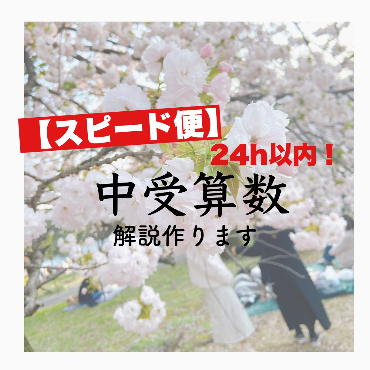 24時間以内に中学受験算数の丁寧な解説を作ります わからない問題をすぐに解決したい方へ イメージ1