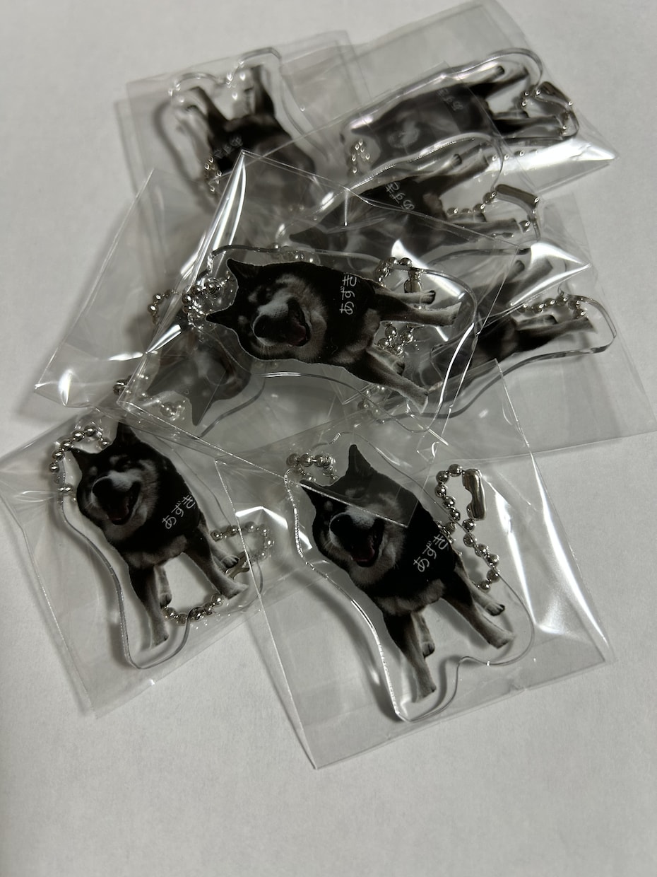 ペットやお子様の写真をアクリル製品に加工します お気に入りの写真データを頂ければレイアウト〜加工までおまかせ イメージ5