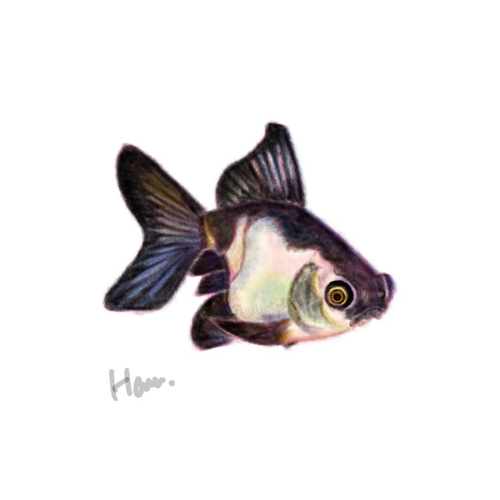 程よくリアルで暖かみのあるイラスト描きます 商用案件から個人観賞用まで 生き物を中心に描きます イメージ1