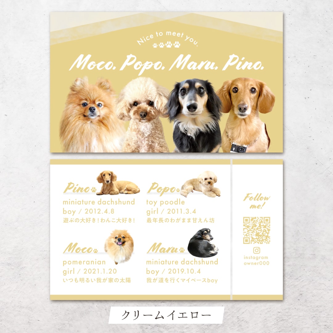 4頭限定×フェミニンが可愛いペット名刺制作します ４頭限定！印刷代込み100枚！オフ会・イベントで大活躍♩ イメージ4