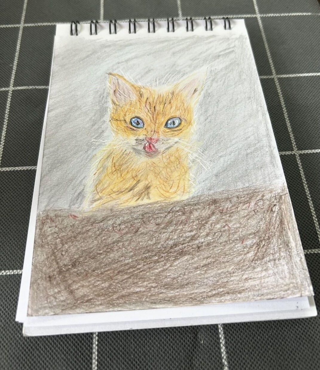 写真をもとに犬か猫の似顔絵を描きます できるだけリアルに描くようにします。 イメージ2