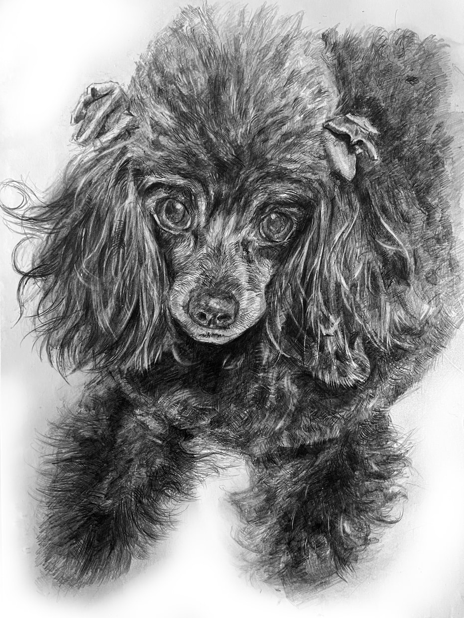 動物・写真から感動の一枚を制作します 「大切な家族の“今”を一枚の絵に」 イメージ10