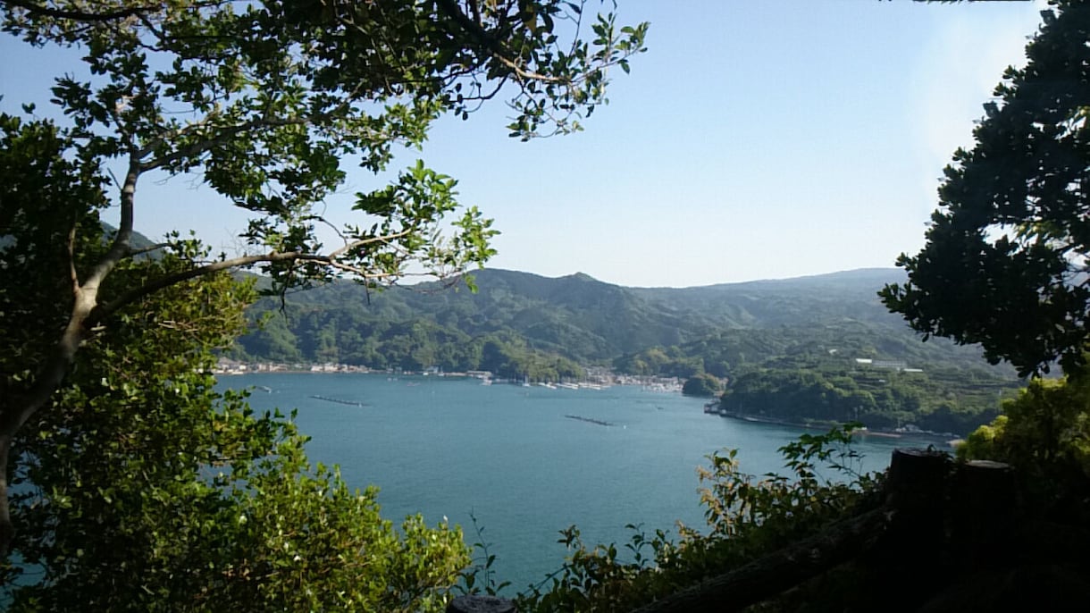 画像データに写っている余分なモノを消します 惜しい残念な写真を生まれ変わらせます♪ イメージ2