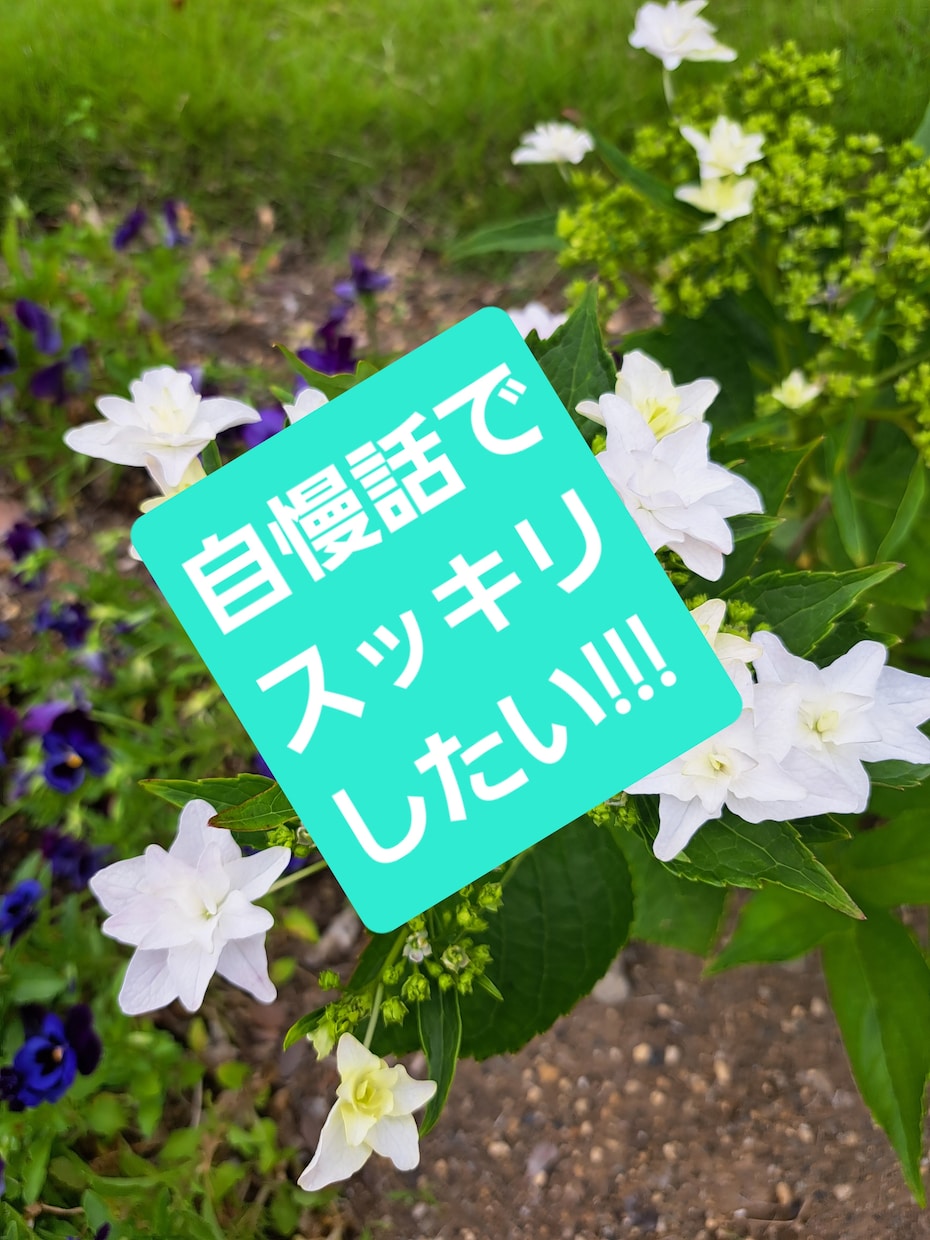 誰か聞いて!あなたの自慢話聞きます 聞いてほしいけど、遠慮して言えない自慢話を話してください! イメージ1