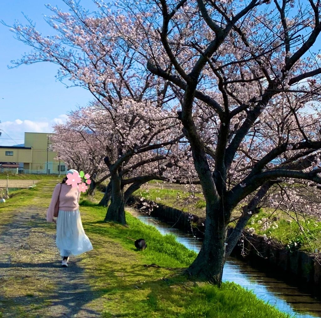 恋愛全般のお悩みを霊視鑑定いたします 相手の気持ちを見るのが得意、縁結び、思念伝達も可能です イメージ4