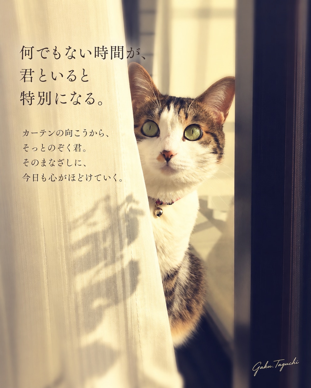 写真に物語を添えたSNS投稿画像を作ります あなたの大切な写真３枚に、心に届く言葉を添えて イメージ3