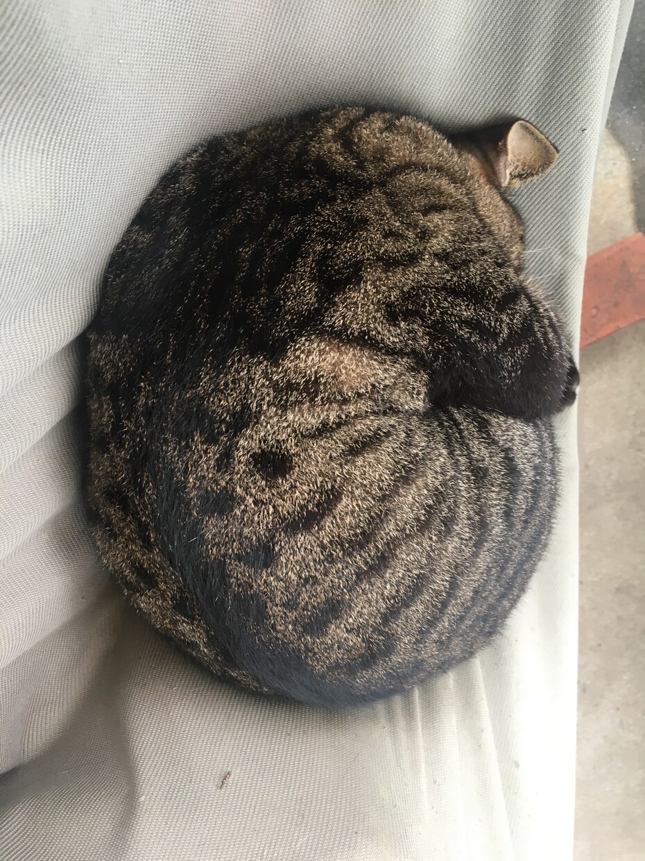 あなたの溜まりに溜まった愚痴を聞きます 仕事、恋愛で疲れてしまったあなたへ イメージ1
