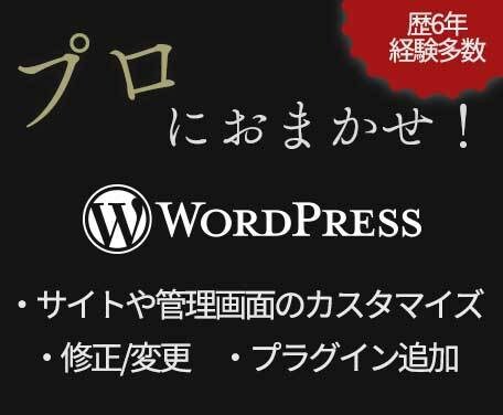 WordPressのカタスタマイズ・修正を承ります 海外アワード受賞実績アリのプロにお任せください！ イメージ1