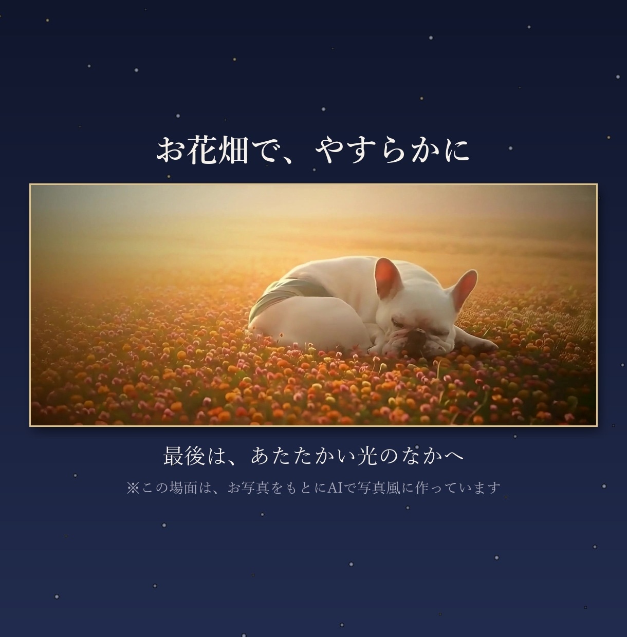 虹の橋の子へ｜ペット追悼メモリアルムービー作ります 写真45枚・約4分・オリジナル曲｜四十九日や一周忌に イメージ4