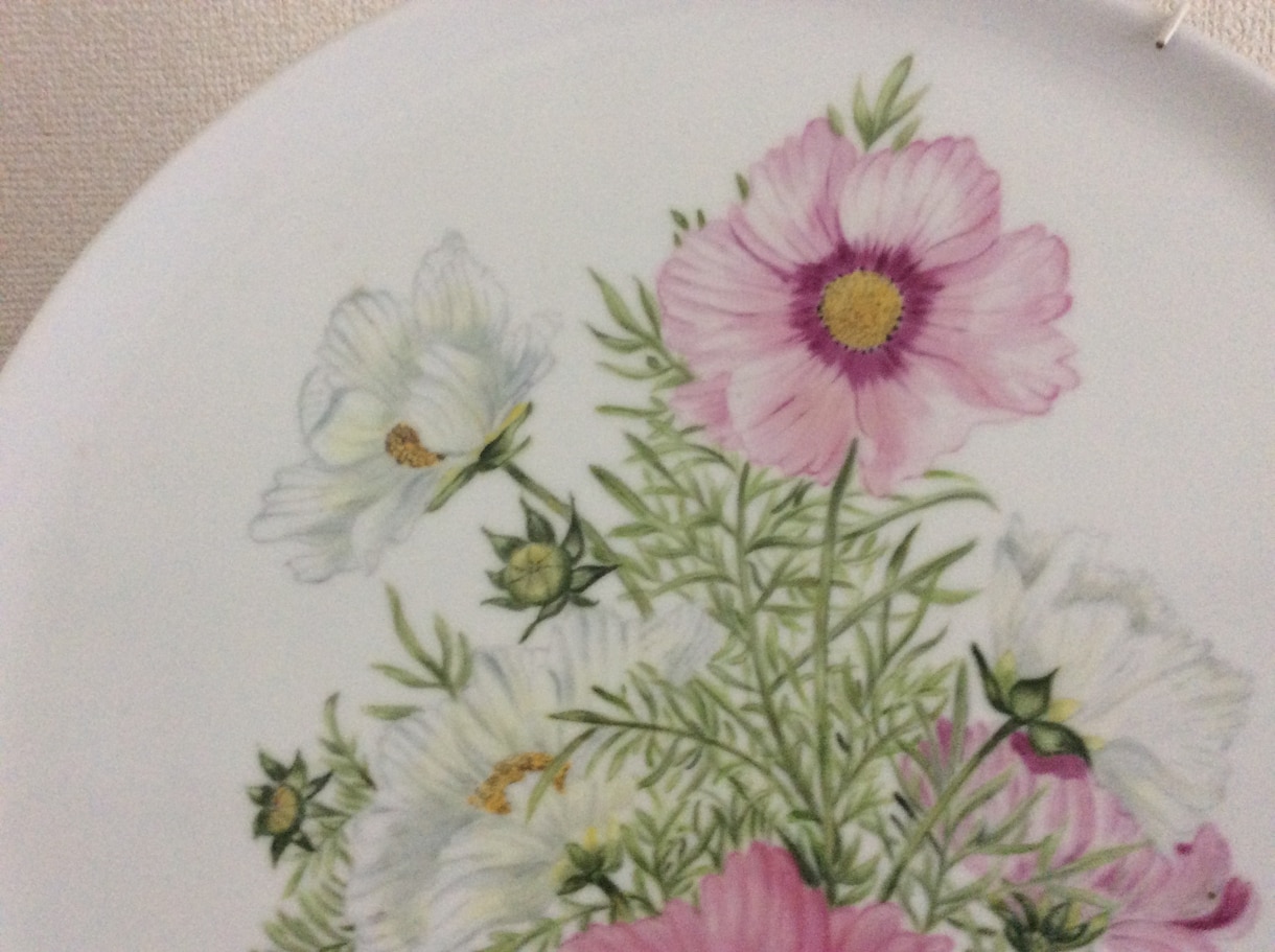 暑い夏が過ぎ秋がようやく訪れてきます 野山には秋の花々が咲き乱れてコスモス畑も満開です イメージ2