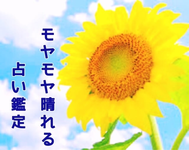 最短10分占い鑑定❤︎あなたのモヤモヤを軽くします ❤︎恋愛・仕事・お金etc 明日には晴れた心で強い一歩を！ イメージ1