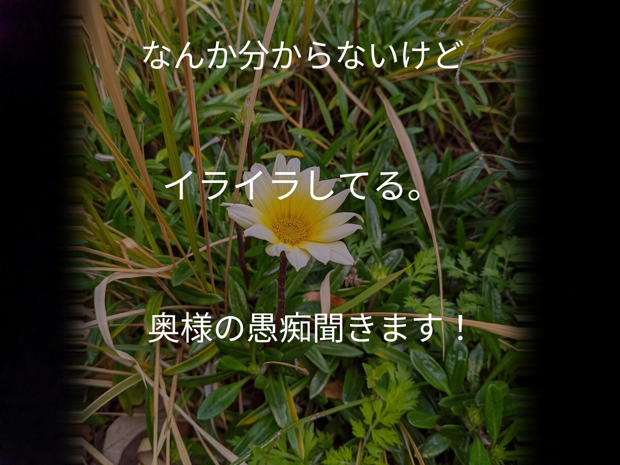 パパさんのお話聞きます パパさん限定◇◆1日メッセージやりとりし放題 イメージ1