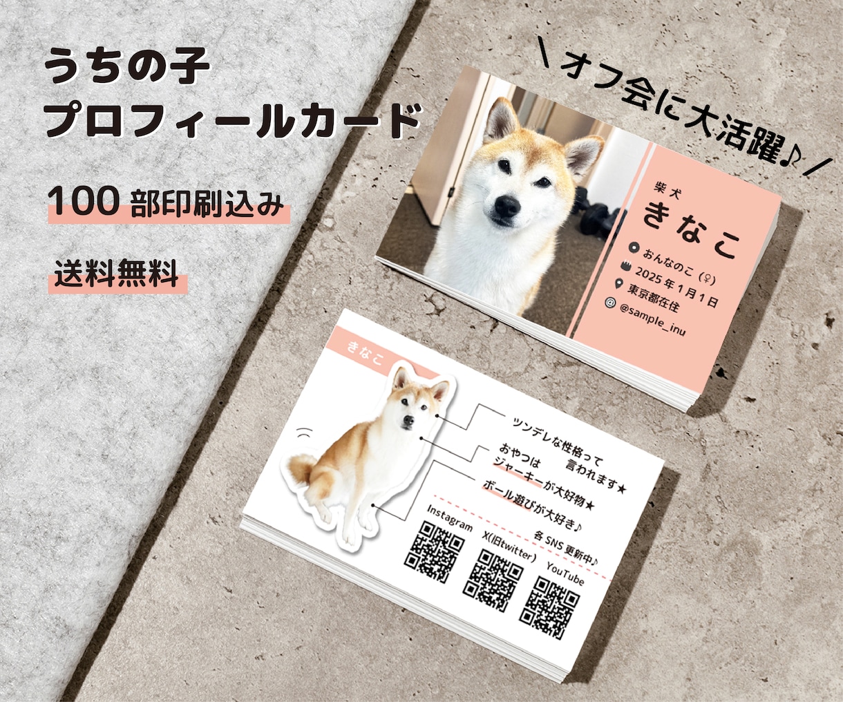 うちの子プロフィールカード作ります セミオーダー名刺｜100枚印刷代込｜オフ会やドッグランで活躍 イメージ1