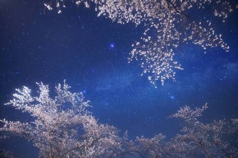 タロット占いします 迷ってる方お待ちしております⭐️ イメージ3