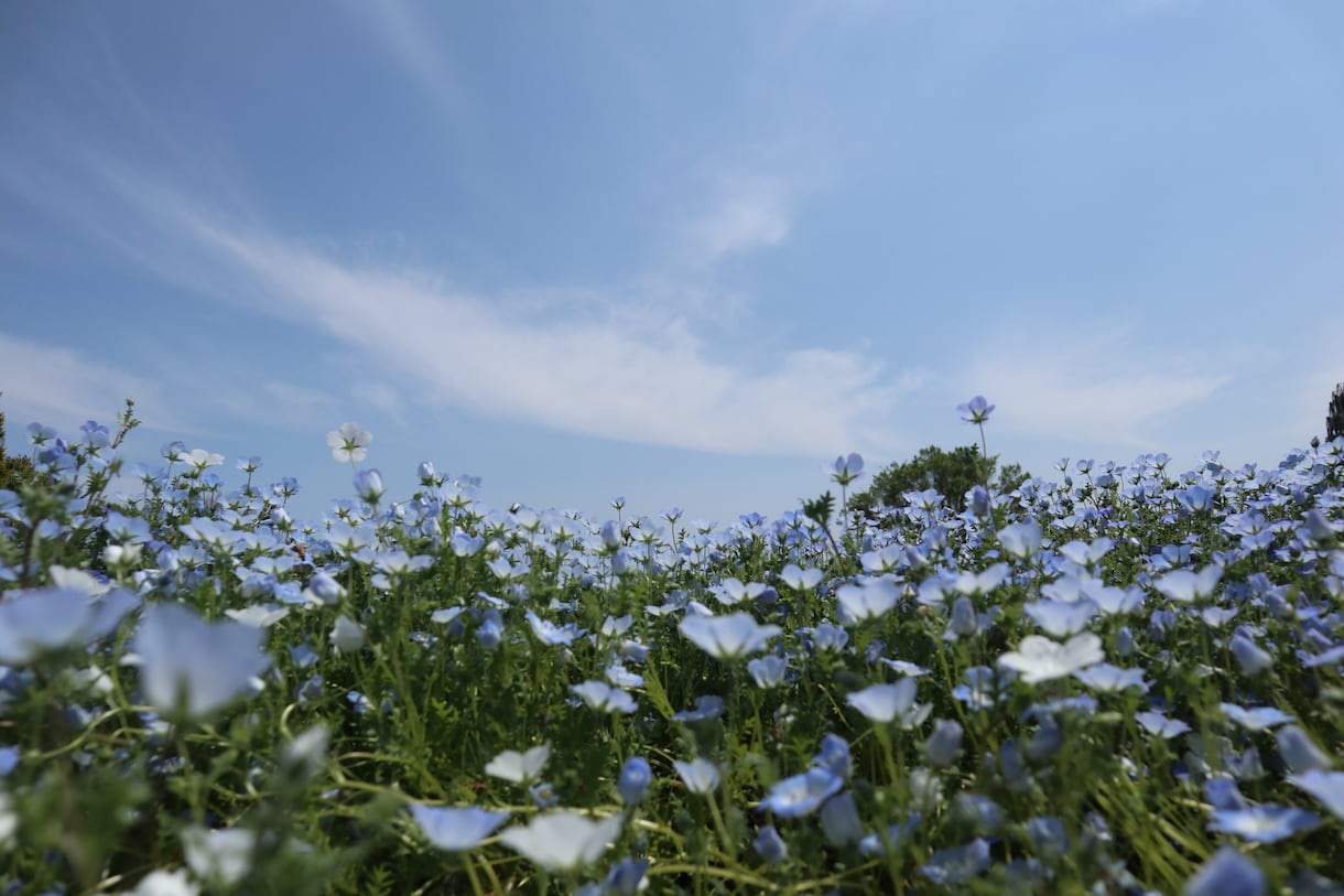 どんな内容でも真正面から真剣に真面目にお伺いします どんなお話でも何でもお聴き致します！よろしくお願いします！！ イメージ1