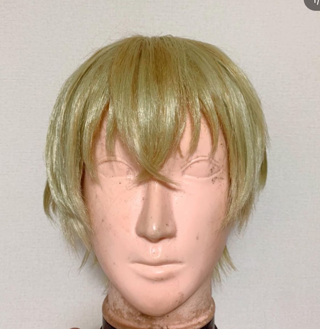 ２.5次元コスプレウィッグヘアメイクの相談受けます ウィッグ制作代行　ヘアメイク相談受けます！ イメージ5