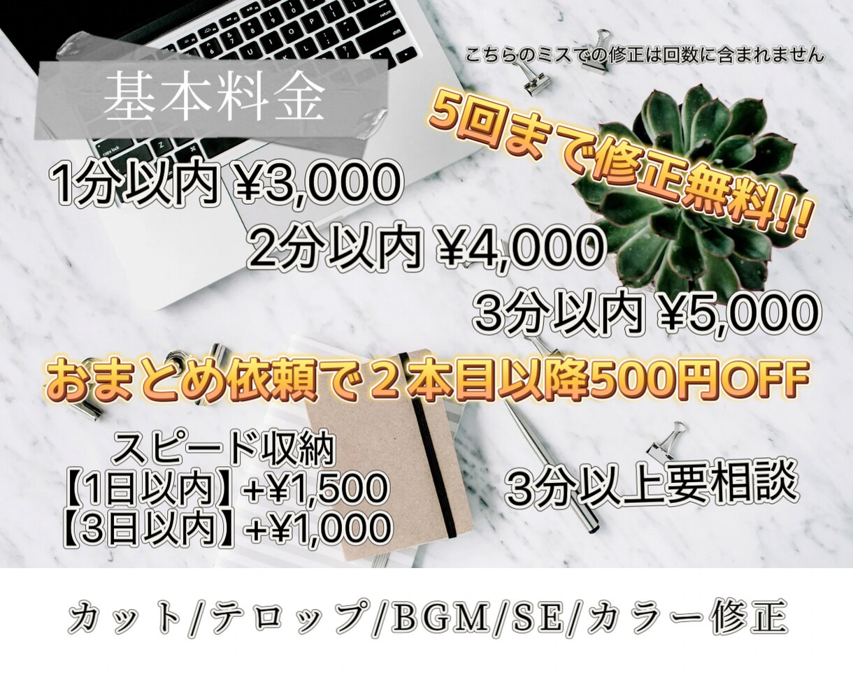SNS用動画編集します ショート動画/TikTok動画を中心に!! イメージ2