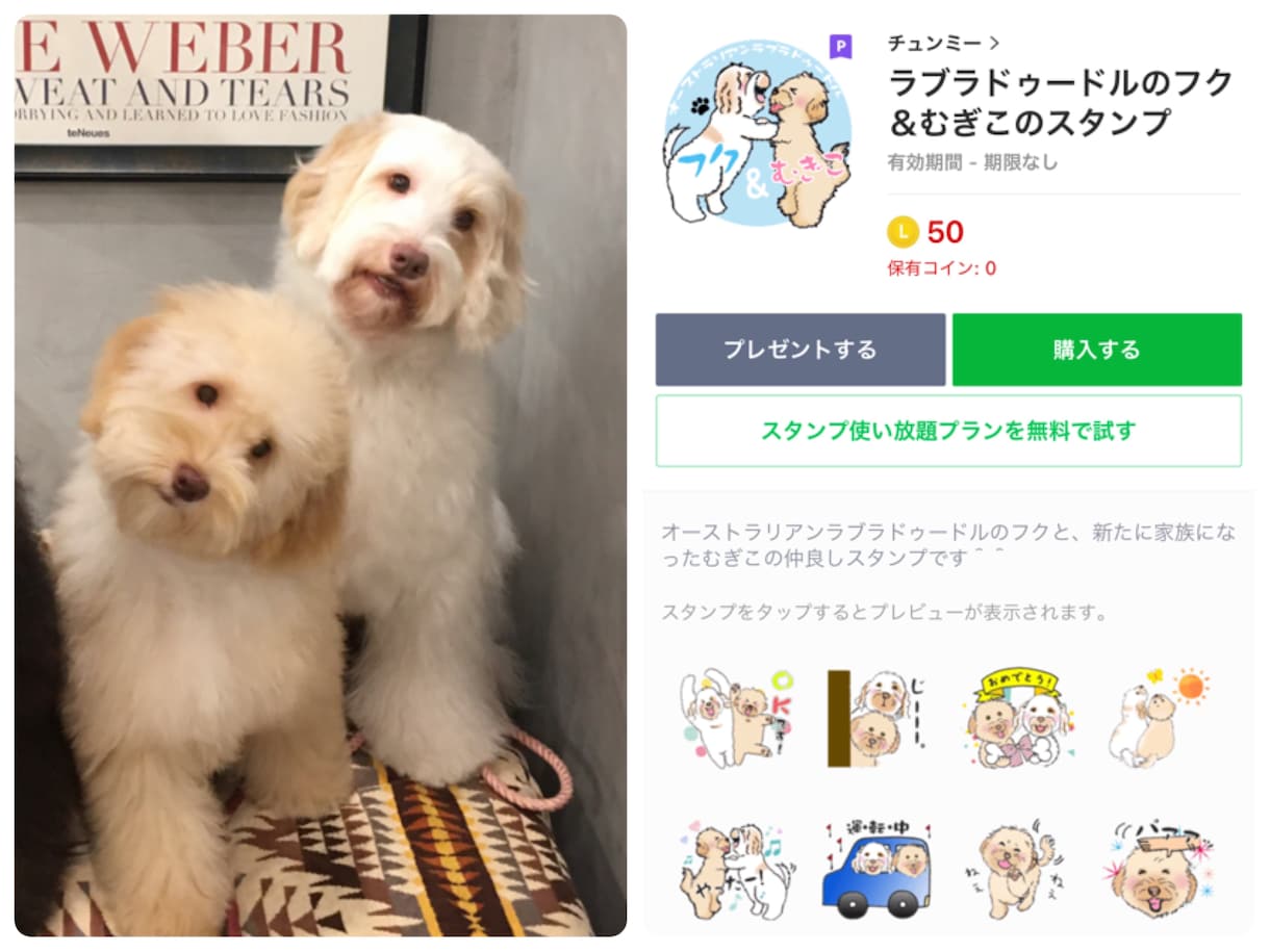 愛犬(ペット)の似顔絵LINEスタンプ作ります 写真を見ながら丁寧に描きます！世界に一つのオリジナル♪ イメージ5