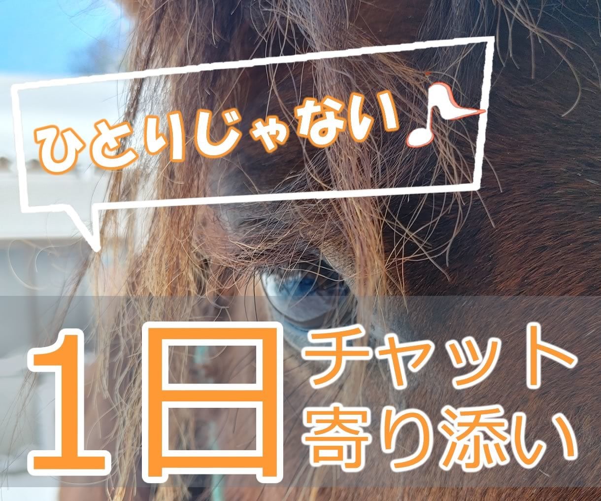 24時間☆チャットで山奥から寄り添います 山奥の素朴さや自然の厳しさから培った、共感、対話、寄り添い イメージ1