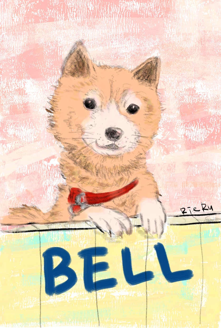 ワンコイラスト描きます 大好きな家族の一員のワンちゃんをイラストにしてみませんか？ イメージ5