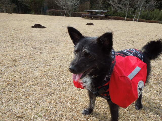アウトドアをサポートいたします。 イメージ2
