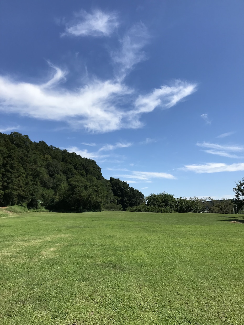モヤモヤ・悩み何でもいつでもお待ちしております ❀ 悩み、不安、心配、ストレス日常の相談まずはメッセージも◎ イメージ5