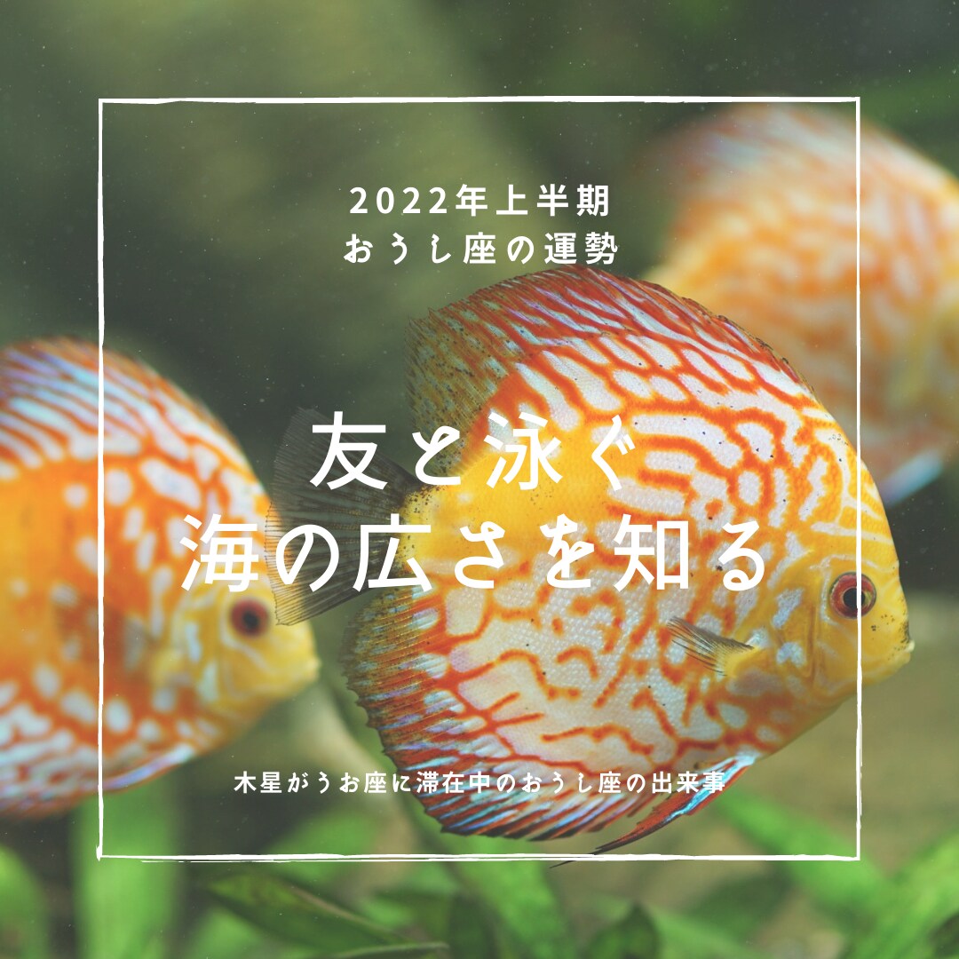 西洋占星術による2022年上半期の運勢をお渡します 時間のないあなたに、ブログやSNSなどに使用可能な運勢鑑定 イメージ3