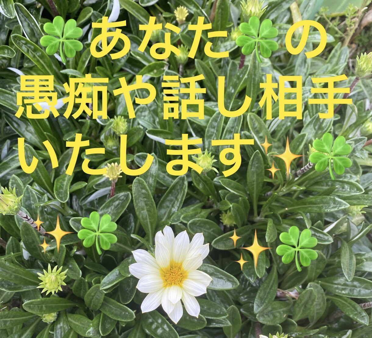 お試し1分でもＯＫ!!秘密厳守☆愚痴聞きます なんでも話してスッキリしませんか？ イメージ8