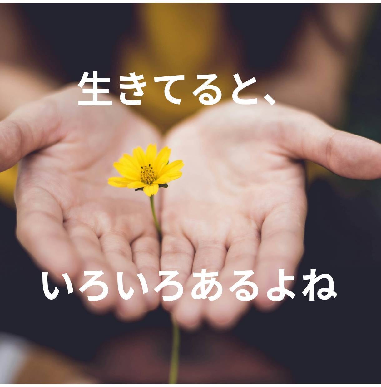 あなたのお話を楽しくお聴きします HSPの聞き役と、心に波を立てないお喋りをしてみませんか？ イメージ2
