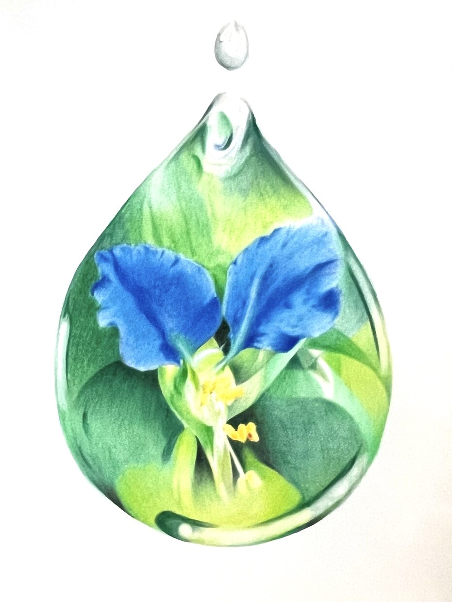写真からペットイラストを色鉛筆で手描きします 写真とは違う温もりを優しいタッチで、心を込めて制作します イメージ3