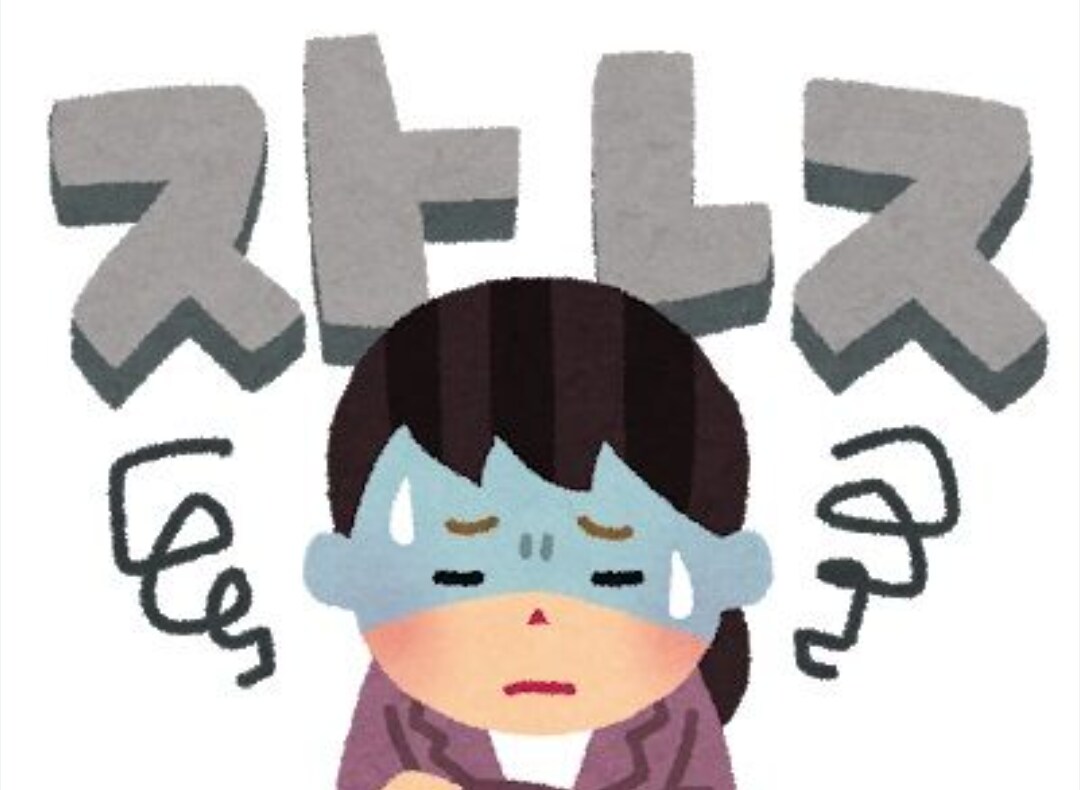 不安神経症・パニック発作経験者がお話聴きます 早く元気になりたいあなたの気持ち第1優先最善策を探しましょう イメージ8