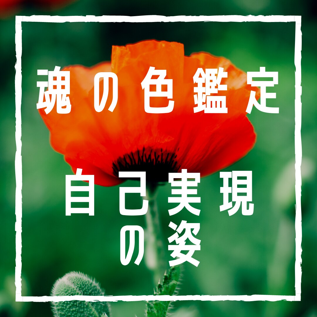 魂の色鑑定書「自己実現の姿」を作成しお伝えします お誕生日から読み解く愛のメッセージ【社会とのかかわり方】