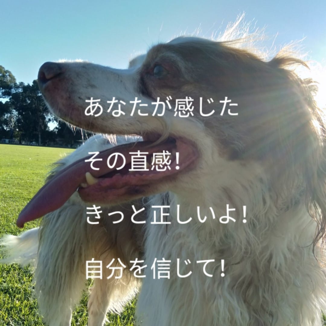 人に言えない悩みは色々あります！人生相談承ります もやもやしている問題を解決できるよう、お手伝いさせて下さい！ イメージ2