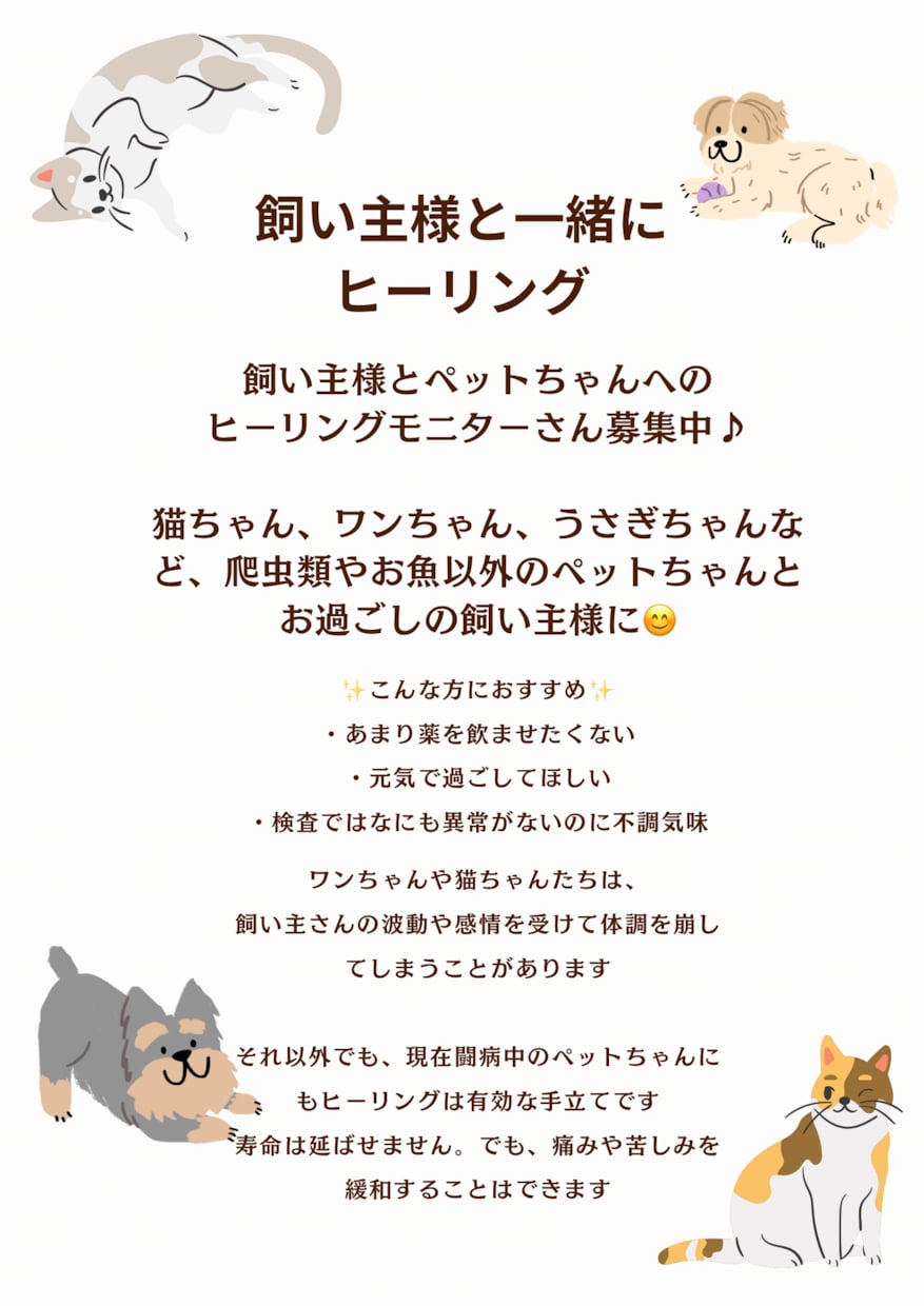 飼い主さんと一緒にペットヒーリング行います ペットの不調は飼い主さんの心が原因かもしれません イメージ1
