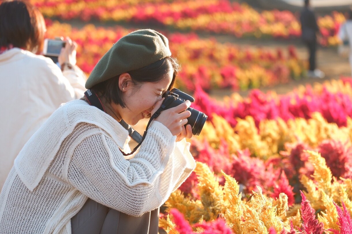 様々なシーンで活用できる素敵な写真素材を提供します 風景もポートレートも新鮮さを求めた写真を。 イメージ1