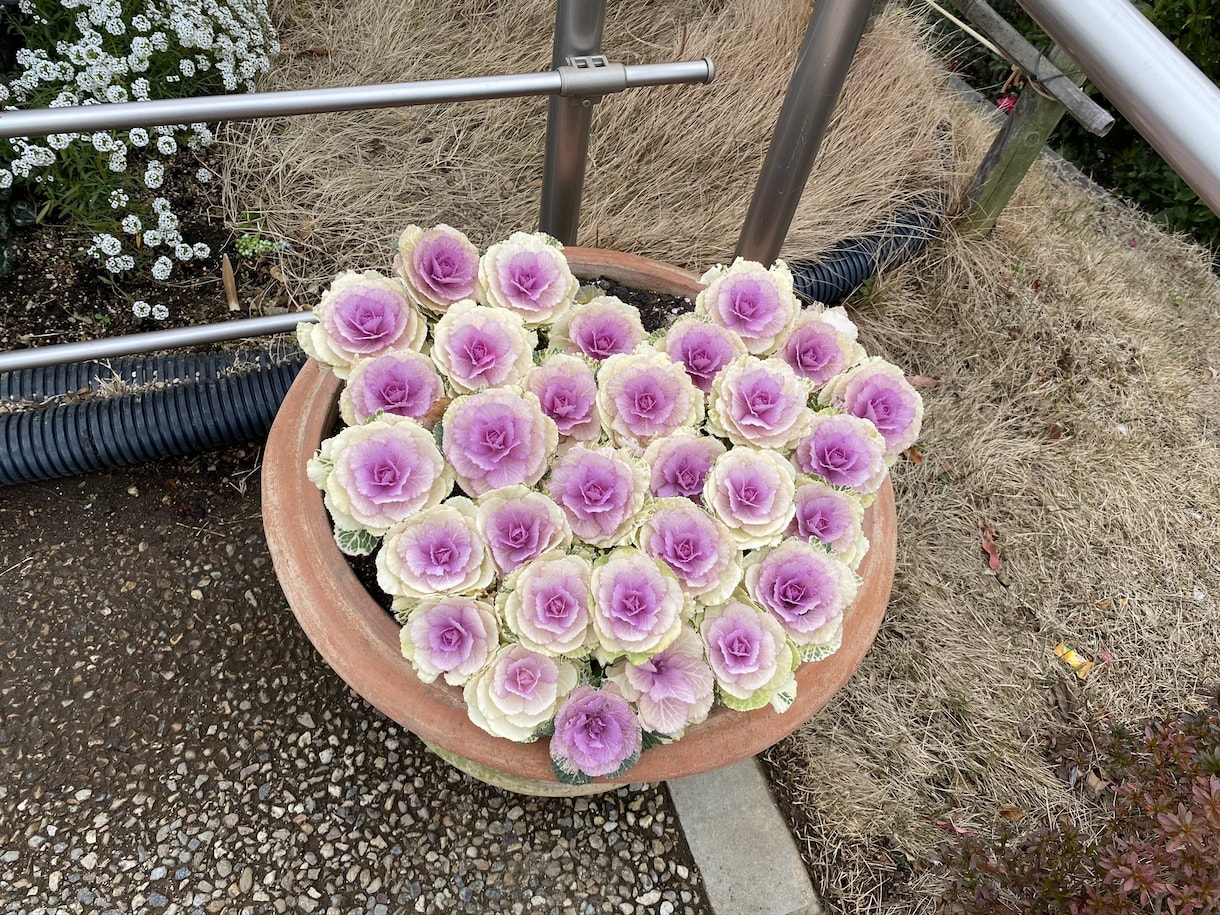 ワンコイン♡話し相手遊び相手何でも傾聴承ります コロナに負けるな！悩み相談など イメージ1