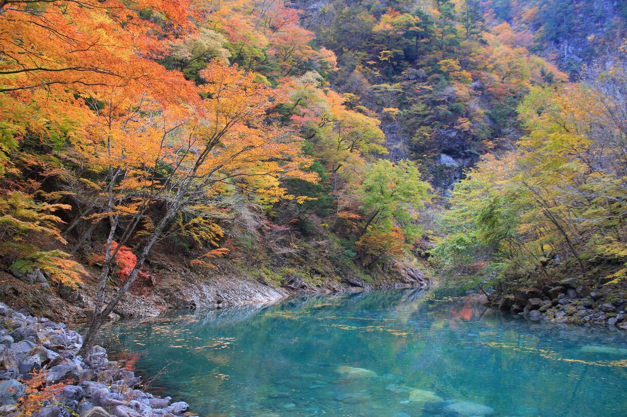 お二人の思い出を撮影します 旅行や観光山行などに同行し、写真撮影をいたします。 イメージ3